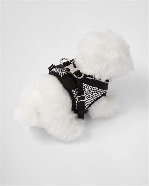 prada collier chien|prada animal accessories.